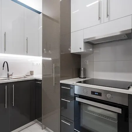Center New Semi Basement Apartment Athens