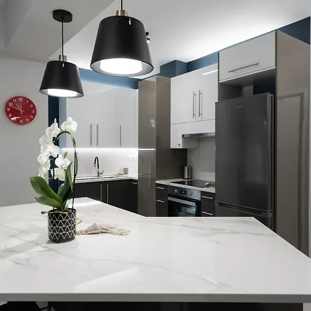 Center New Semi Basement Apartment