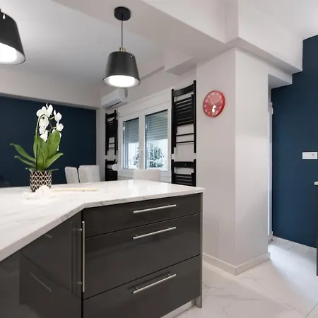 Center New Semi Basement Apartment *